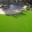 Organic Carpet Grass Seeds Imported 100gm image