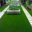 Organic Carpet Grass Seeds Imported 100gm image