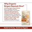 Organic Tattva Organic Biryani Basmati Rice (Long Grain) 1kg image