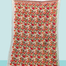 Orginal Kashmiri Poshmina Shawl For Women image