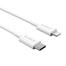 Orico Type C To Lightning Cable 1M Iphone CL01- WH image