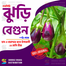 Original Debgiri Jhuri Begun Seeds 1gm Pack Indian image