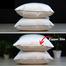 Original Shimul Fiber Head Pillow Cotton Fabric White18x28 Inch image