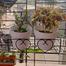 Outdoor Plants Railing Stand image