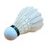 PRO PETREL Feather For Badminton Shuttle Cocks (cock_feather_12pc) image
