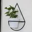 Brikkho Hat Package-2 (Wall hanger, walkway planter, Desk plant) image
