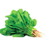 Panjab All Green Palong Seeds Indian Repack - 1gm image