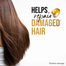 Pantene Active Pro V Repair and Protect Shampoo 400 ml -8006540801512 image