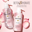 Pantene Micellar Detox and Hydrate Rose Water Extract Scalp Shampoo - 530 ml image