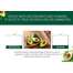 Pax Moly Avocado Soothing Gel-300gm image