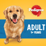 Pedigree Adult 1Plus Years Beef and Vegetables Flavor 1.5 kg image