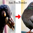 Peflox Vet Pack For Any Bird Pox Medicine - 10gm image