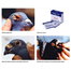 Peflox Vet Pack For Any Bird Pox Medicine - 10gm image