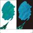 Pentel Dual Metallic Brush-Green Plus Metallic Blue image