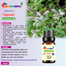 Peppermint Essential oil -10ml image