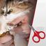 Pet Cat /Dog Nail Cutter/ Clipper/ Trimming image