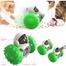 Pet Cat Dog Treat Dispensing Dog Toy image