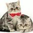 Pet Cats And Puppy Dogs Tie Type Collar With Bell image
