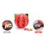Pet Dog Toy Teeth Clean Rubber Balls for Small Large Dogs Puppy Cat Chewing Toys image