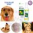 Pet Flea Killer Spray Flea Insect Killer Skin Care Spray For Cat Dogs 120 ml image