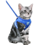 Pet Harnesses Cat Traction Lash Vest Cat Chest Lash Is Reflective At Night To Prevent Breaking Away From The Walking Cat Leash image