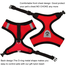 Pet Harnesses Cat Traction Lash Vest Cat Chest Lash Is Reflective At Night To Prevent Breaking Away From The Walking Cat Leash image