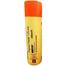 Petcare Notix P Anti Tick And Flea Powder For Dogs And Cats 100gm image