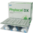 Phytocal DX600 mg Plus 400 IU 6's Strip Tablet image