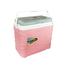 Pinnacle Ice Chest Cooler Box 10 litres Pasco W/Ice Brick Lid image