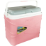 Pinnacle Ice Chest Cooler Box 10 litres Pasco W/Ice Brick Lid image