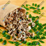 Pkm1 Moringa Sajna Seeds All Season image