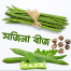Pkm1 Moringa Sajna Seeds All Season image
