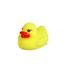 Playtime Cute Funny Duck image