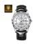 Poedagar Silver Dial Black Leather Brown Gents Analog Wrist Watch (615 ) image