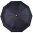 Sankar's Umbrella Auto Open 10 Ribs Black Colour (S-902) image