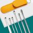 Portable Ear Cleaner Set Stainless Steel With Lather Case - 6 Pcs image