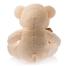 Dimpy Stuff Premium Hug Me Bear Soft Toy Assortment image