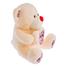 Premium 6423 Bear Heart Flower Soft Toy Assortment 43cm image