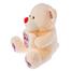 Premium 6423 Bear Heart Flower Soft Toy Assortment 43cm image