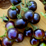 Premium Black Pearl Series Black Tomato Seeds Re-pack- 10pcs image