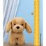 Premium Dog With Collar Soft Toy Assortment - 22cm image