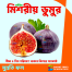 Premium Egyptian Fig Seeds 5pcs image