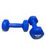 Premium Quality OK PRO 4Kg Vinyl 1 Pair - Blue image