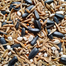 Premium Summer Seed mix Food for Cockatail and Parrot - 1KG image