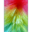 Proclean Plastic Feather Cleaning Duster image
