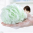 Proclean Shower Sponge (Bath Puff) - 1 Pcs image
