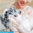 Proclean Shower Sponge (Bath Puff) - 1 Pcs image
