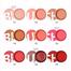 Pudaier 9 Colors Facial Blush Palette Highlighter Powder Cheek Rouge Contour Cosmetics image