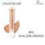 Pudaier Face Liquid Blush Makeup Beauty Glazed Cheek Blusher Matte Face Contour-#03-SHALLOW ORANGE image