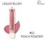 Pudaier Face Liquid Blush Makeup Beauty Glazed Cheek Blusher Matte Face Contour-#02-Peach Powder image